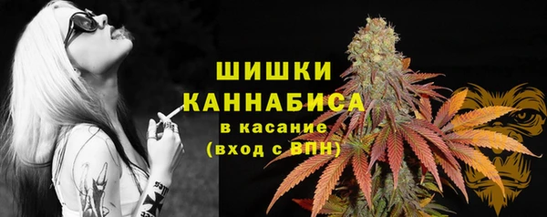 дурь Кулебаки